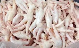 鸡爪养殖爆料视频教程,揭秘视频教程核心内容 第3张 鸡爪养殖爆料视频教程,揭秘视频教程核心内容 第3张